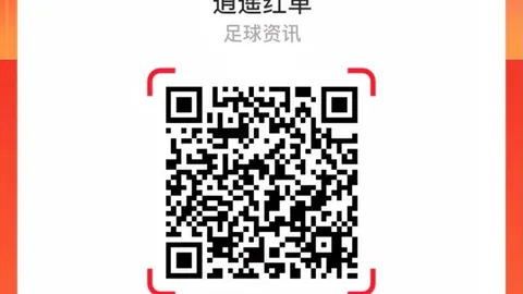 独家数据迷雾中谁是冠军终极对决分析